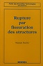 Naman Recho - Rupture par fissuration des structures.