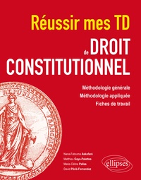 Télécharger un livre à partir de Google Play Réussir mes TD de Droit constitutionnel en francais 
