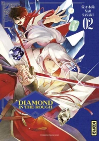 Diamond in the rough Tome 2