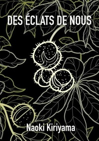 Des éclats de nous