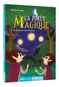 Le royaume des lumières