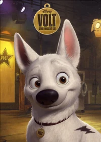 Volt