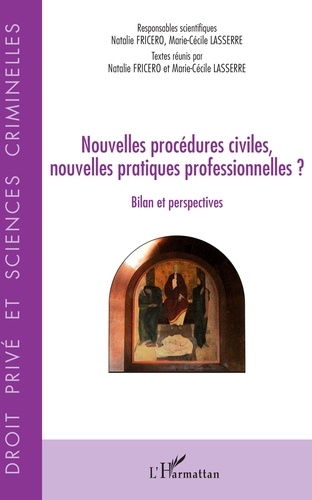 Nouvelles procédures civiles, nouvelles pratiques professionnelles ?. Bilan et perspectives