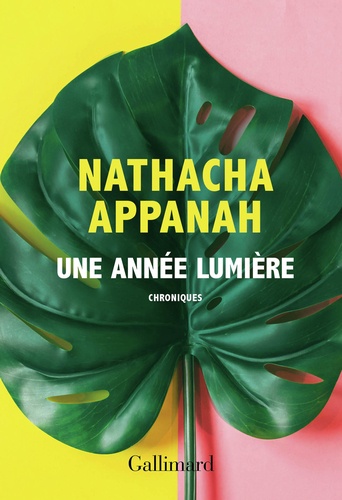 Une année lumière. Chroniques