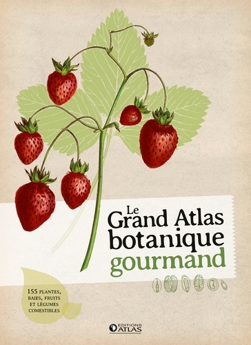 Nathalie Barthès et Nathalie Bucsek - Le grand atlas botanique gourmand.