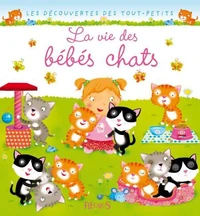 La vie des bébé chats
