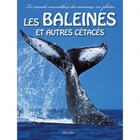 Les baleines et autres cétacés.pdf