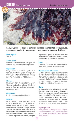 Algues & plantes du bord de mer. Observer et reconnaître 50 espèces de notre littoral