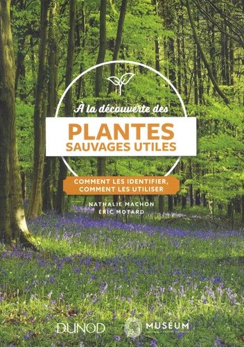 A la découverte des plantes sauvages utiles. Comment les identifier, comment les utiliser