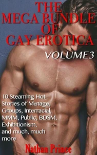 The Mega Bundle of Gay Erotica: Volume 3