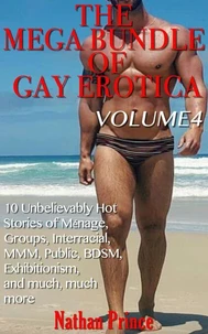 The Mega Bundle of Gay Erotica: Volume 4