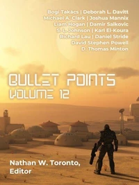 Bullet Points 12
