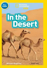 In the Desert