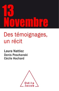 Le 13 novembre