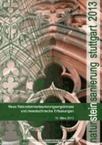 Natursteinsanierung Stuttgart 2013 - Neue Natursteinsanierungsergebnisse und messtechnische Erfassungen.