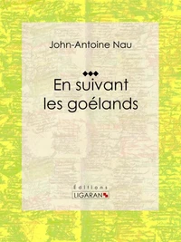 En suivant les goélands