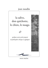 La salive, Don Quichotte, le chien, le nuage & quelques autres petits paquets de philosophie clinique et appliquée
