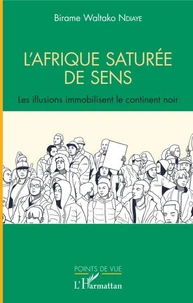 L'Afrique saturée de sens