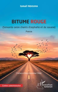 Bitume rouge