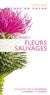 Neil Fletcher - Fleurs sauvages.