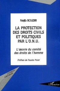 La protection des droits civils et politiques par l'ONU