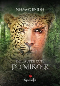 De l'autre côté du miroir