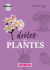 Drôles de plantes