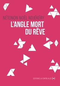 Nétonon Noël Ndjekery - L'Angle mort du rêve.