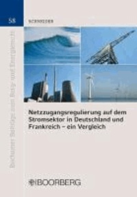 Netzzugangsregulierung auf dem Stromsektor in Deutschland und Frankreich - ein Vergleich.