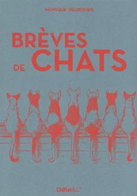 Brèves de chats