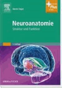 Neuroanatomie - Struktur und Funktion.