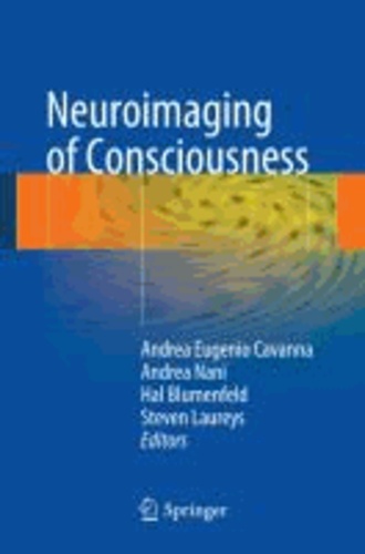 Neuroimaging of Consciousness.