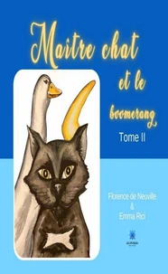 Maître chat et le boomerang