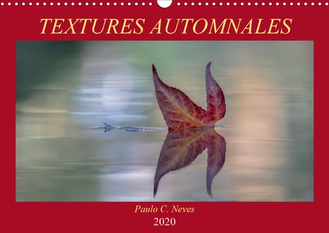 CALVENDO Nature  Textures automnales (Calendrier mural 2020 DIN A3 horizontal). De près ou de tres près, que des images d'automne... (Calendrier anniversaire, 14 Pages )