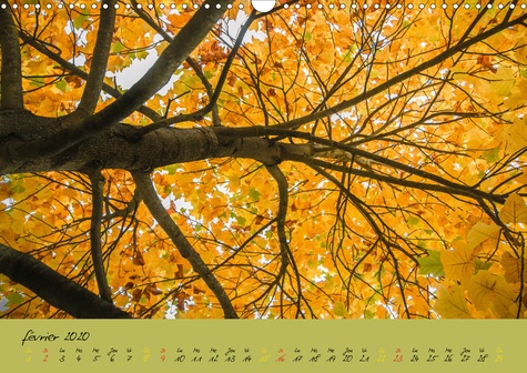 CALVENDO Places  Un automne au Bois (Calendrier mural 2020 DIN A3 horizontal). Un automne dans le Bois de Boulogne. (Calendrier mensuel, 14 Pages )