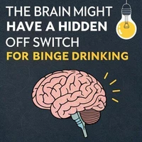 The Brain Might Have a Hidden 'Off Switch' for Binge Drinking