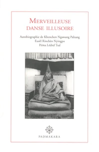 Merveilleuse danse illusoire