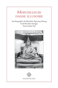 Merveilleuse danse illusoire