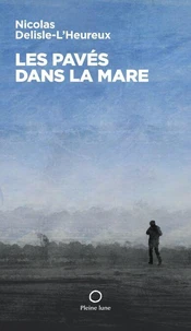Les paves dans la mare