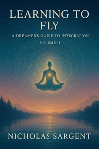 Learning to Fly: A Dreamer’s Guide to Integration