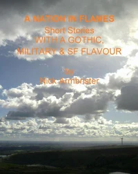 A Nation In Flames : Short Stories With A Gothic, Military &amp; Sf Flavour