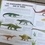 Tout ce que vous pensez savoir sur les dinosaures est faux !