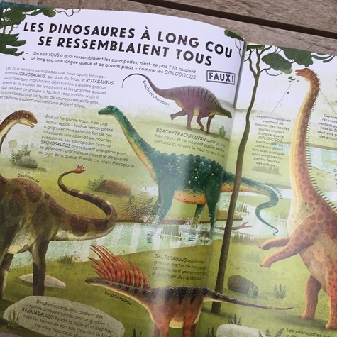 Tout ce que vous pensez savoir sur les dinosaures est faux !