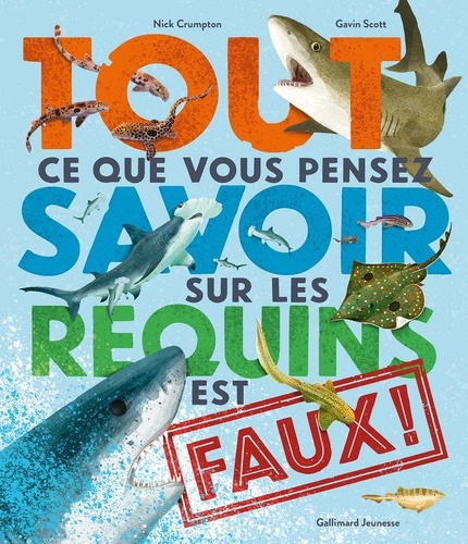 Tout ce que vous pensez savoir sur les requins est faux !