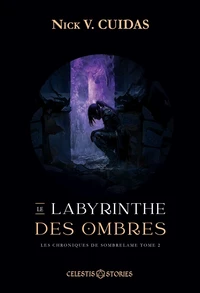 Le Labyrinthe de l'Ombre