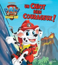 Un chiot bien courageux !