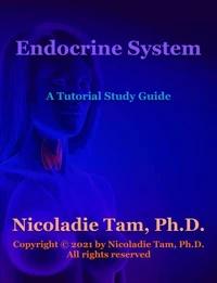 Endocrine System: A Tutorial Study Guide