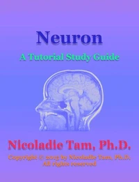 Neurons: A Tutorial Study Guide