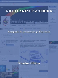 Ghid pagini Facebook - Campanii de promovare pe Facebook