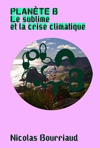 Nicolas Bourriaud - Planète B - Le sublime et la crise climatique.